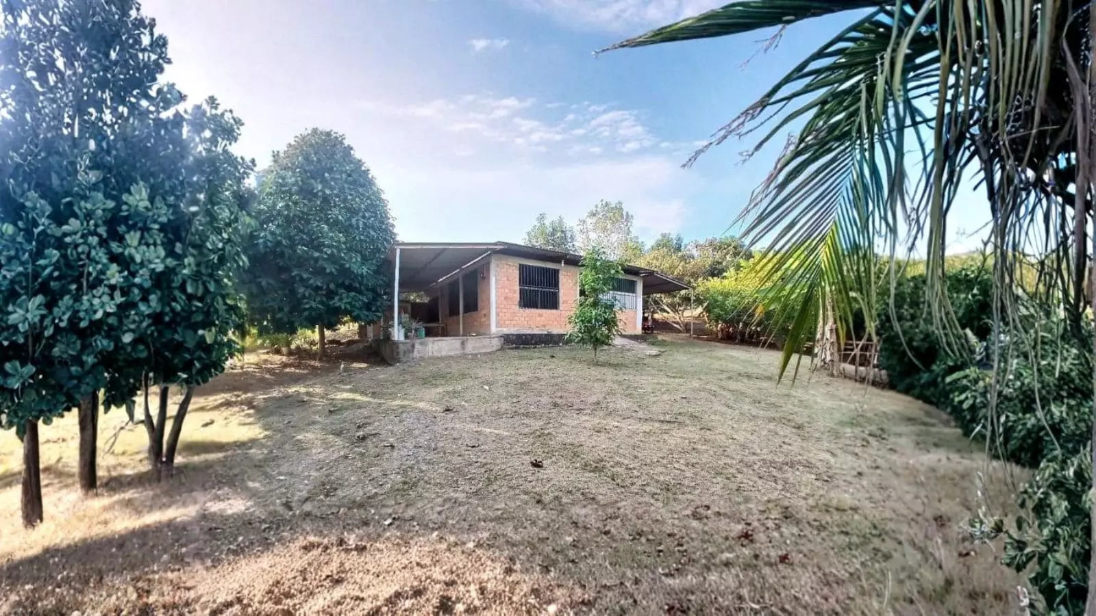 Casa de campo con 2 hectáreas y árboles frutales en Churuzapa