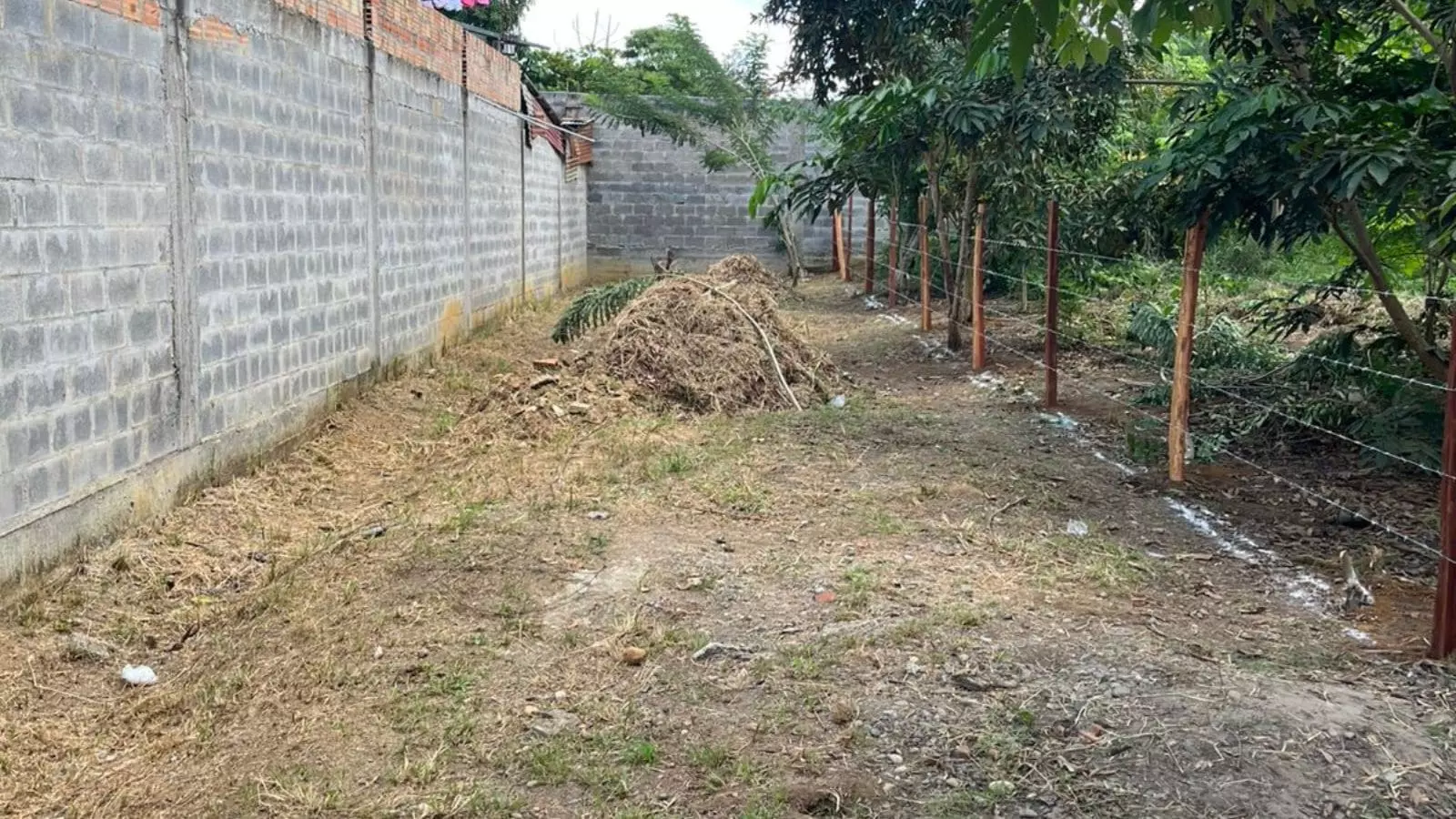 Terreno con alto tránsito ideal para casa o negocio en Banda de Shilcayo