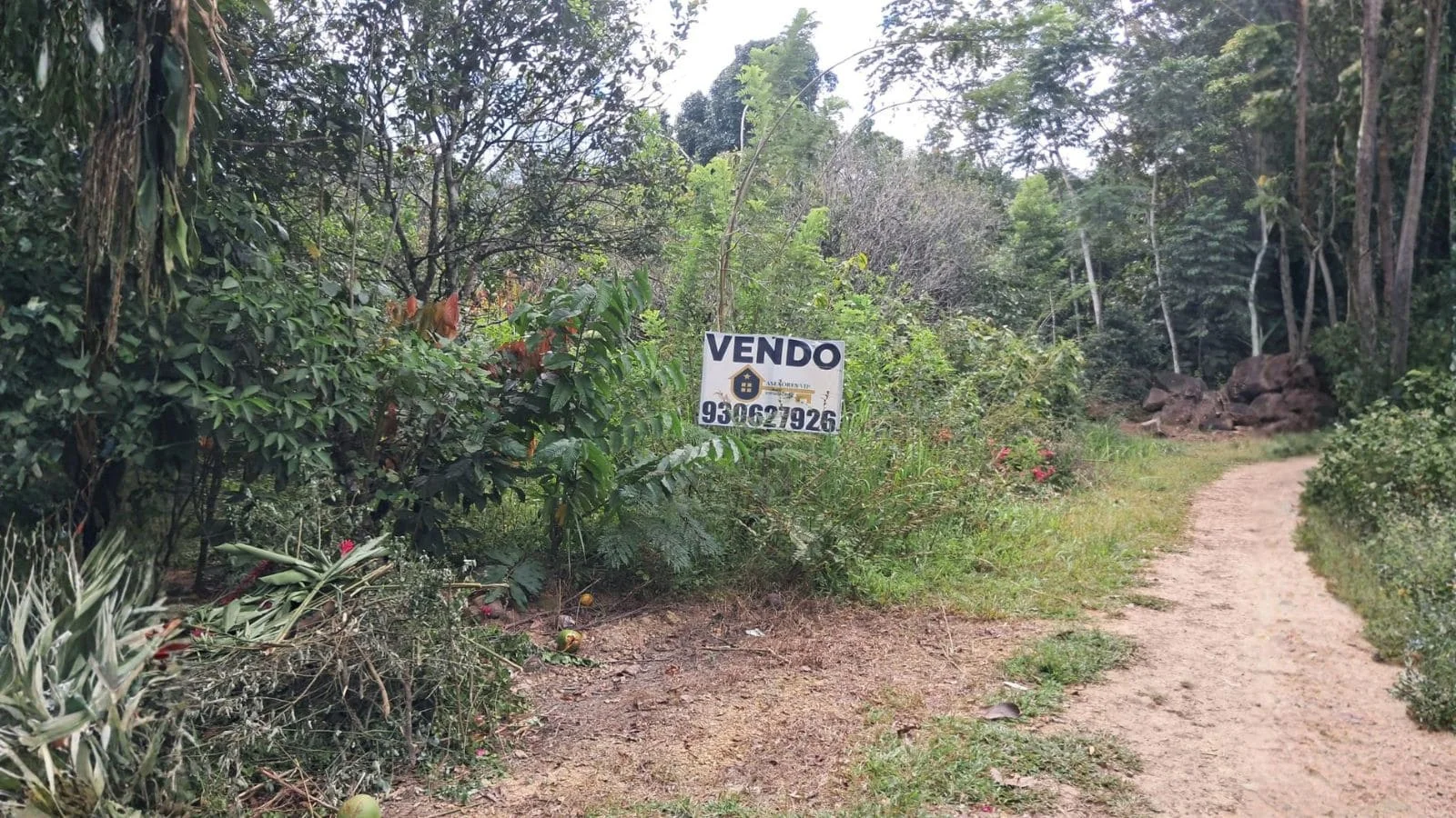 Terreno Turístico con Ojo de Agua en San Antonio de Cumbaza – Tarapoto